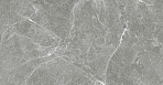 Stone Cool Grey Керамогранит серый 60х60 Полированный_1
