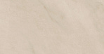 Винетта бежевый светлый глянцевый 6436 25x40_5