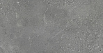 Nelson Керамогранит тёмно-серый K948160LPR01LPER 59,7х119,7 лаппатированный_1