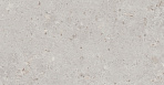 Риккарди серый светлый матовый обрезной 14053R 40x120_3