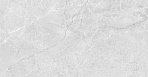 Toro Керамогранит серый 50х50 матовый_1