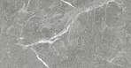 Stone Cool Grey Керамогранит серый 60х60 Полированный_0