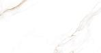 Calacatta Regal Gold Керамогранит белый 80х80 Матовый_5