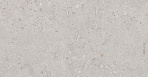Риккарди серый светлый матовый обрезной 14053R 40x120_4