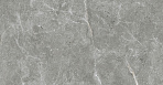 Stone Cool Grey Керамогранит серый 60х60 Полированный_2