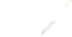 Golden White Statuario Керамогранит 60х60 Полированный_6