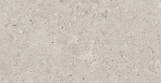 Риккарди серый светлый матовый обрезной 14053R 40x120_2