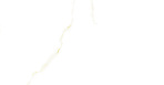 Golden White Statuario Керамогранит 60х60 Полированный_5