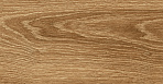 Polo Brandy Керамогранит бежевый K952687R0001LPET 20х80_1