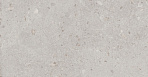 Риккарди серый светлый матовый обрезной 14053R 40x120_5