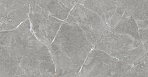 Stone Cool Grey Керамогранит серый 60х120 Полированный_1