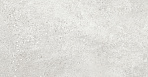 Siena Grey PRO Керамогранит светло-серый K948153R0001LPET 59,7х59,7 R10 STR_13
