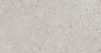 Риккарди серый светлый матовый обрезной 14053R 40x120_1