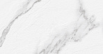 Joy Плитка настенная белый 60142 20х60_0