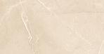 Elegant Armani Crema Керамогранит 60х60 Полированный_21