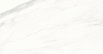 Calacatta Superb Керамогранит белый 60x60 полированный_5