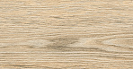 Oak Керамогранит янтарный OK 0054 15х60_1
