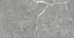 Stone Cool Grey Керамогранит серый 60х60 Полированный_4